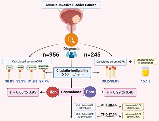 The Oncologist (@oncjournal) on Twitter photo Different eGFR formulas resulted in comparable % of #cisplatin-unfit pts with muscle-invasive #BladderCancer. Measured CrCl is recommended when calculated eGFR=40-59 mL/min as a significant number of patients could be reclassified as cisplatin-fit. <a href="/Uroweb/">European Association of Urology (EAU)</a>
doi.org/10.1093/oncolo… Different eGFR formulas resulted in comparable % of #cisplatin-unfit pts with muscle-invasive #BladderCancer. Measured CrCl is recommended when calculated eGFR=40-59 mL/min as a significant number of patients could be reclassified as cisplatin-fit. <a href="/Uroweb/">European Association of Urology (EAU)</a>
doi.org/10.1093/oncolo…