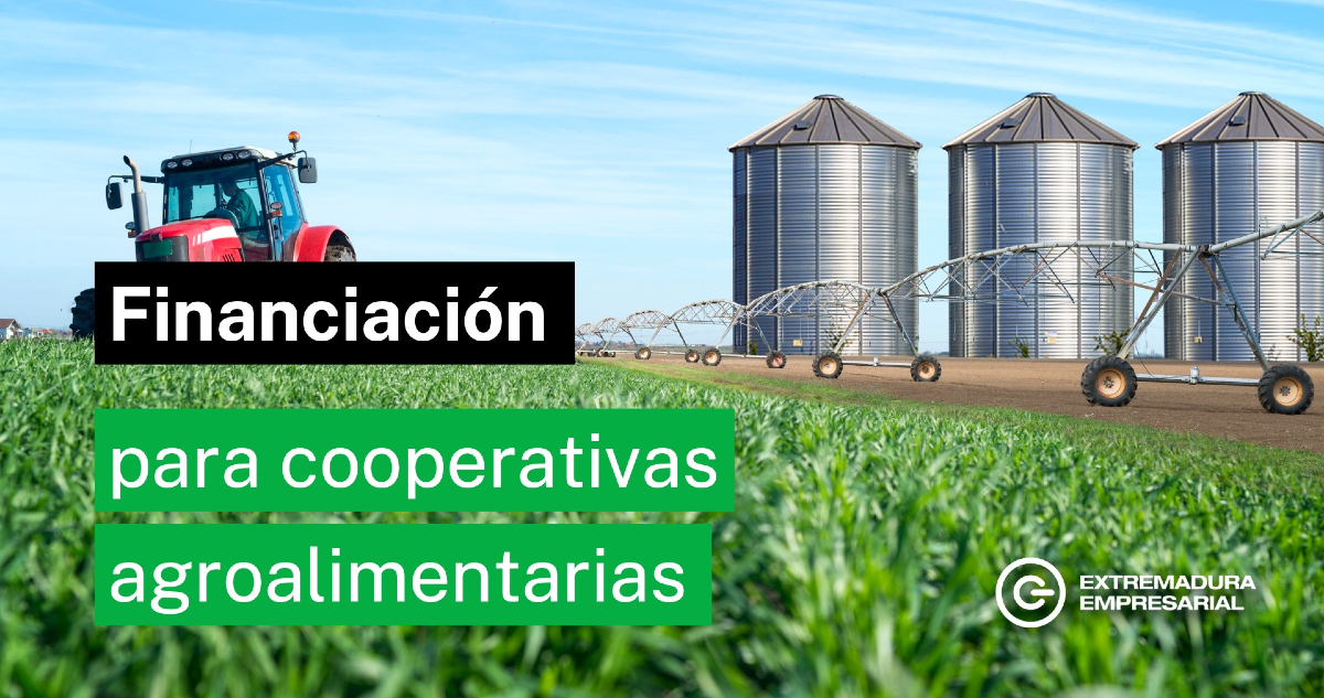 💶 Extraval pone en marcha una nueva línea de financiación preferente para cooperativas agroalimentarias
ℹ️ Te lo contamos aquí 👉 i.mtr.cool/yakyjuuryd