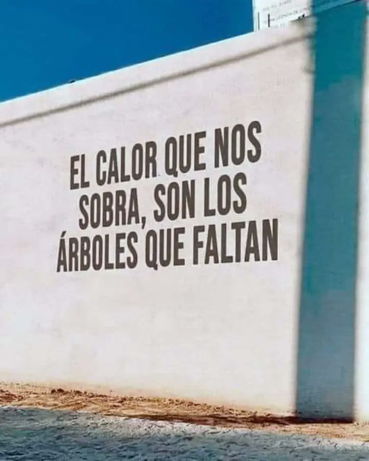 🌳🌳🌳🌳🌳🌳🌳🌳🌳🌳🌳🌳🌳🌳🌳🌳🌳🌳🌳🌳🌳🌳🌳🌳🌳🌳🌳🌳🌳🌳🌳🌳🌳🌳🌳🌳🌳🌳🌳🌳🌳🌳🌳🌳🌳🌳🌳🌳