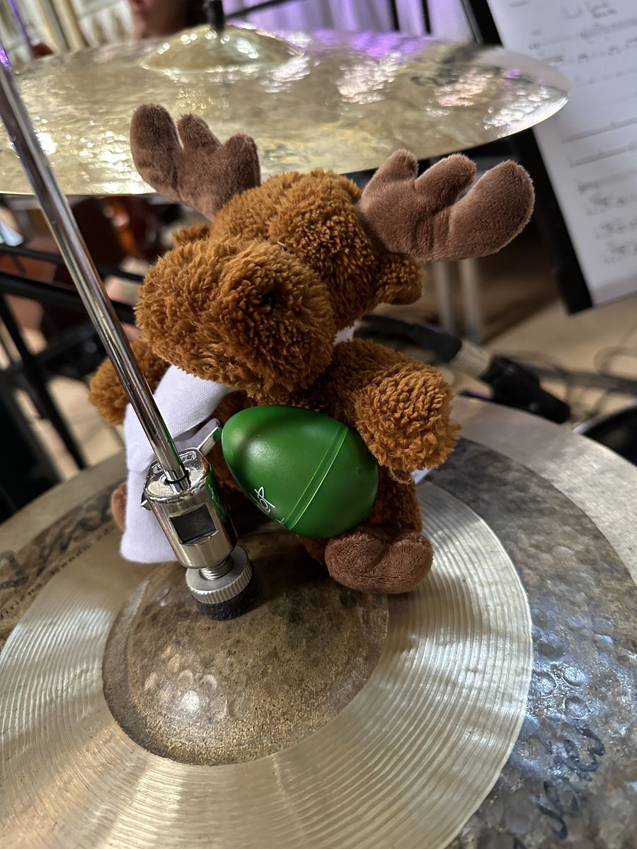 Libera Moose tweet media