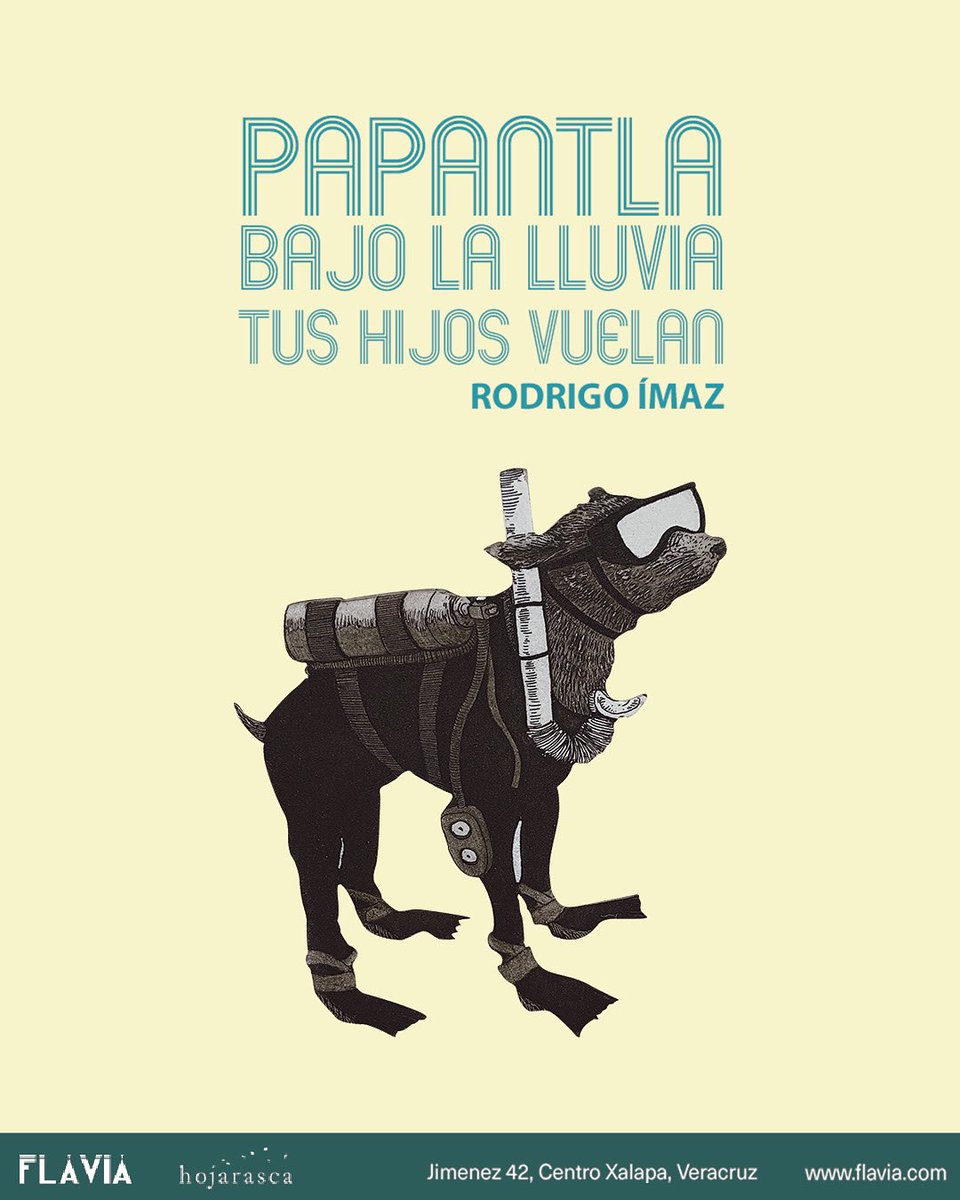 PAPANTLA BAJO LA LLUVIA TUS HIJOS VUELAN 
RODRIGO ÍMAZ
Fernando Gálvez de Aguinaga
Curador

Inauguración miércoles 14 de agosto I 18 h ¡Te esperamos! ¿Dónde? Flavia, Jiménez 42, en el corazón ❣ de Xalapa.