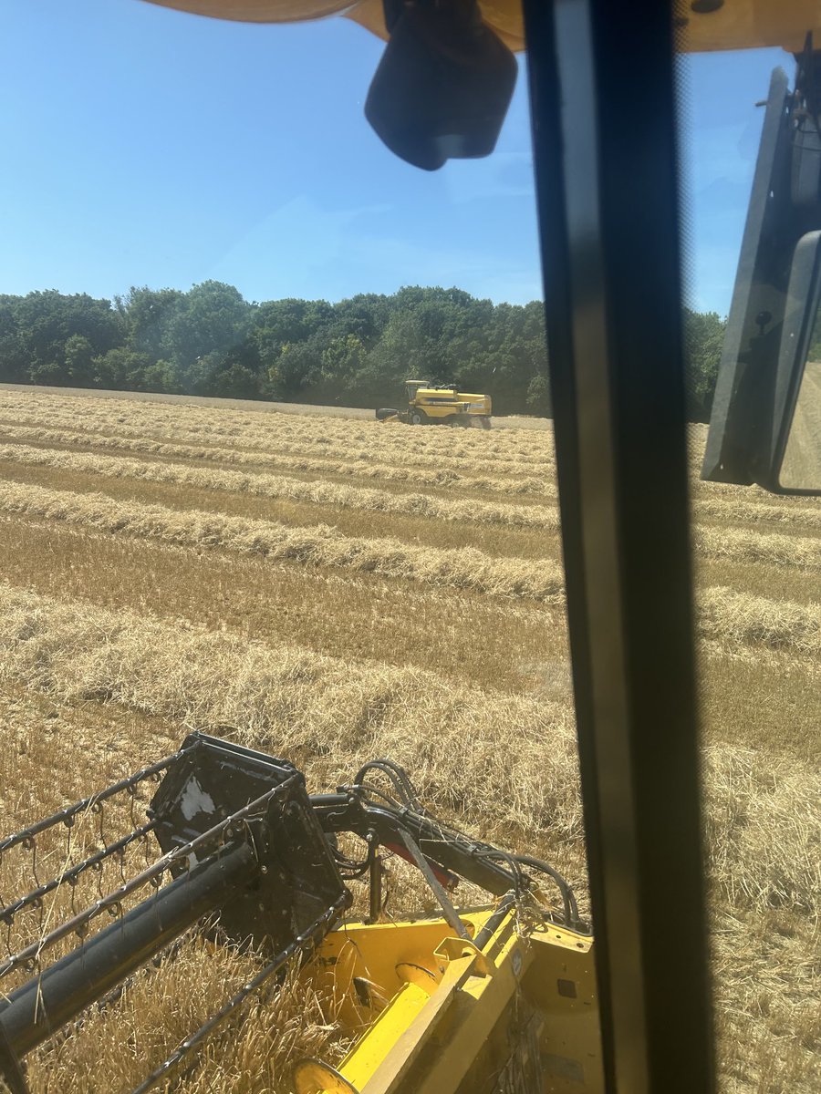 Matthew Collins ==🚜🥔🥬🌾 tweet media