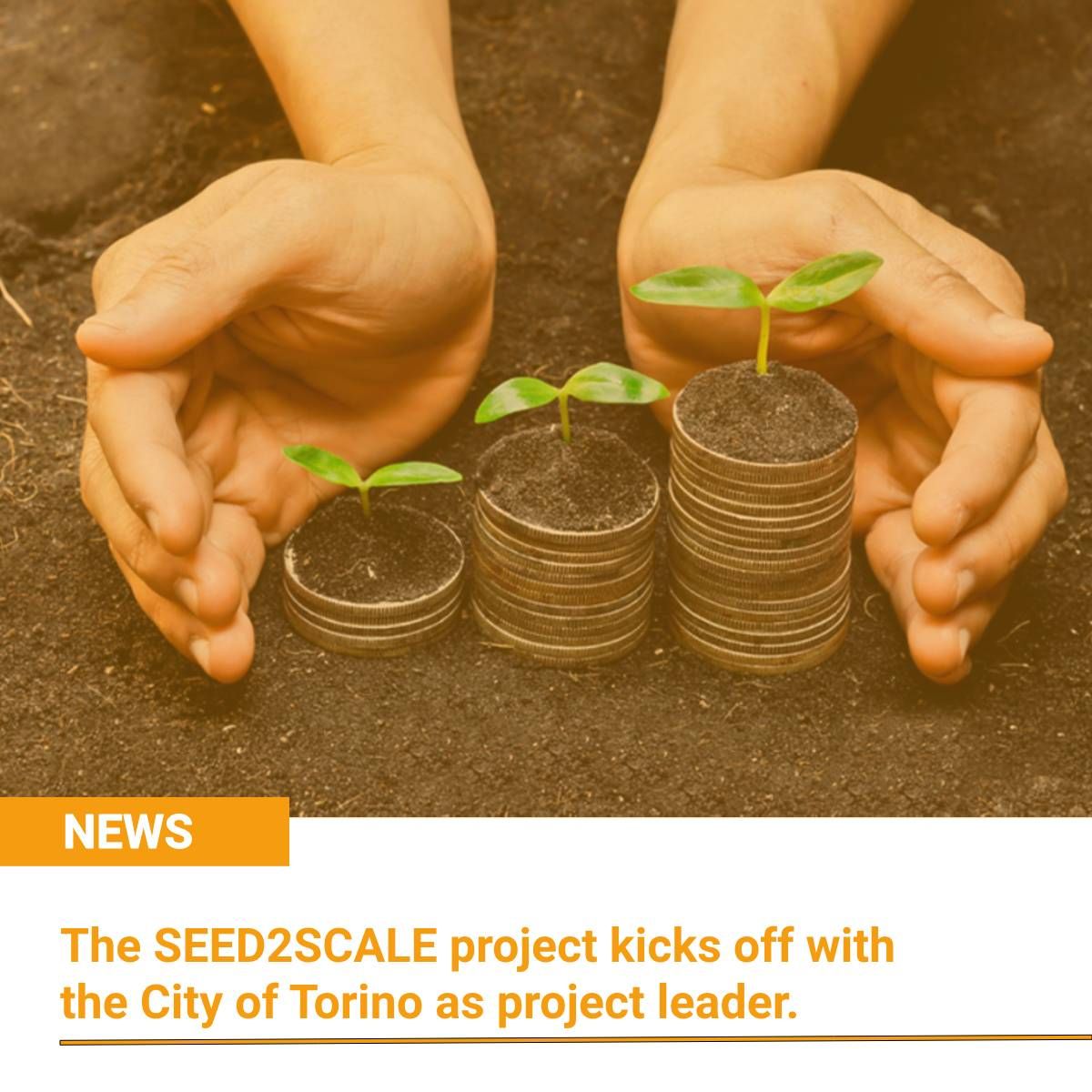 🆕 With the kick-off meeting on 18 July, the European project hashtag#SEED2SCALE, in which the <a href="/twitorino/">Città di Torino</a>  is the lead partner, officially got underway.

Find out more ➡ lnkd.in/eQsTb8g9