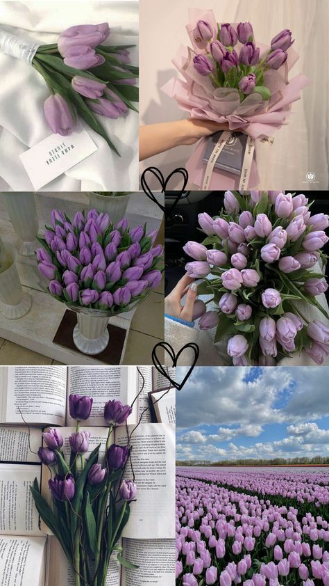 Purple tulips 💜🌷