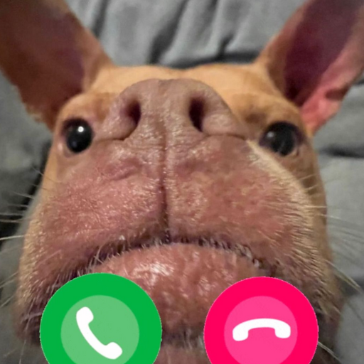FrogDogOnSol's tweet photo. @jpeggler Hi you gonna answer to the $FOG?

https://t.co/m8usgqrZdm https://t.co/S3bhLR5f9L
