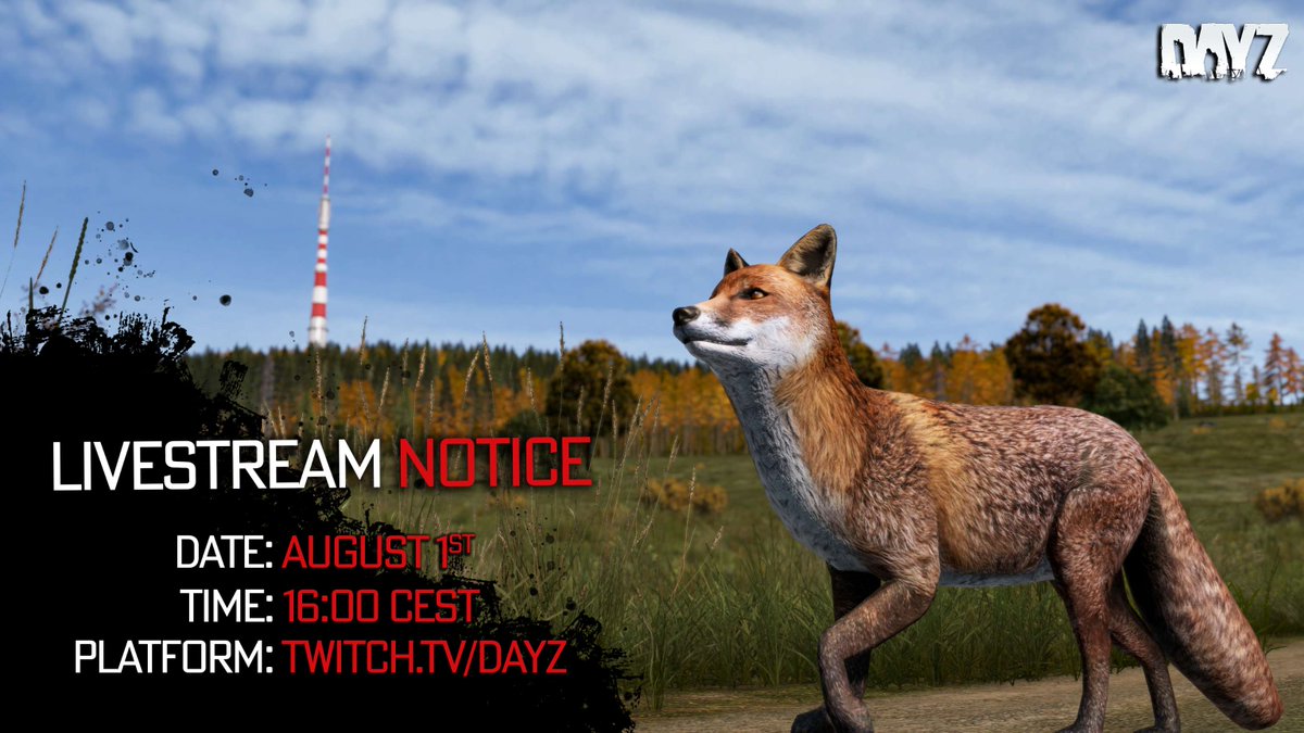 DayZ 🖥 🎮 ❤️ tweet media