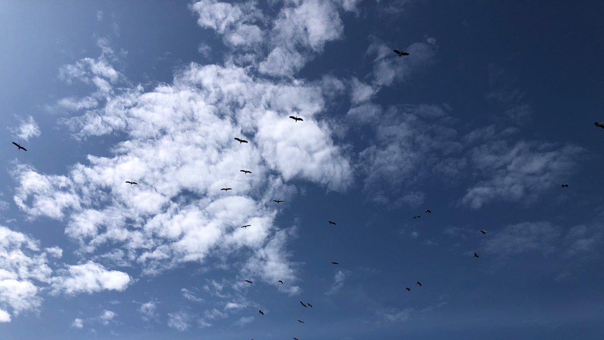 เงียบจะง #สมุย