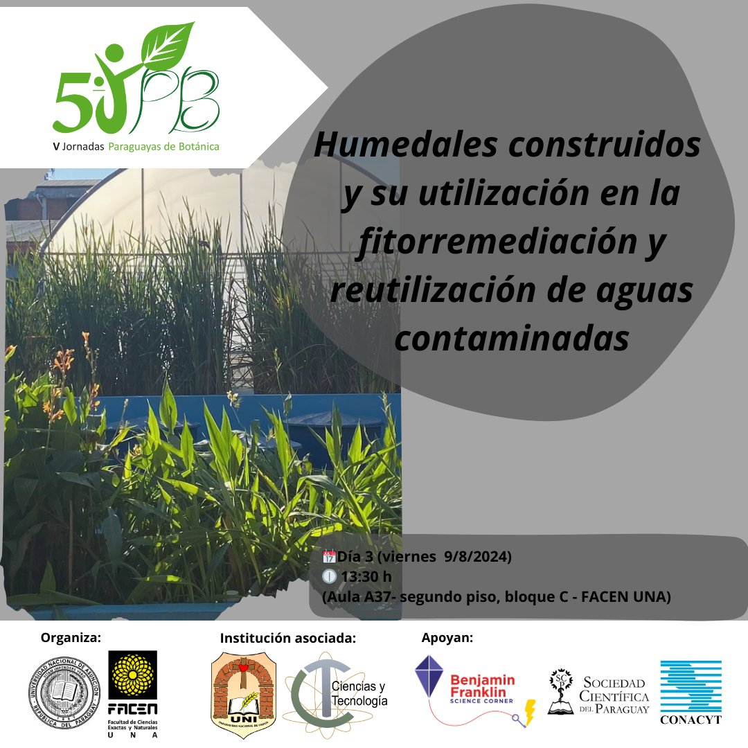 jornadasbotpy's tweet photo. Simposio "Humedales construidos y su utilización en la fitorremediación y reutilización de aguas contaminadas"
📆Día 3 (viernes 9/08/2024)
🕧13:30 h
(Aula A37-segundo piso, bloque c-FACEN UNA)
#vjpb #botanicapy #paraguay #facen #una #simposio #LAREV #humedales #fitorremediación https://t.co/pZQykIj0cg