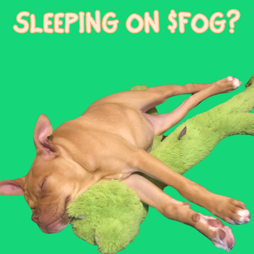 FrogDogOnSol's tweet photo. Still sleeping on the $FOG?

Sol Trending #1

600+ Holders

$400K+ Volume https://t.co/gfWyx5kptH