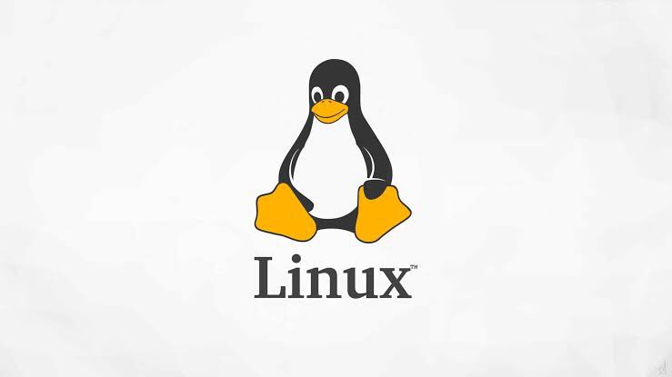 MaunaLinux's tweet image. What is your favourite Linux Command?

#BolhaDev #Linux #FreeSoftware #MaunaLinux #Debian Via: @thatstraw