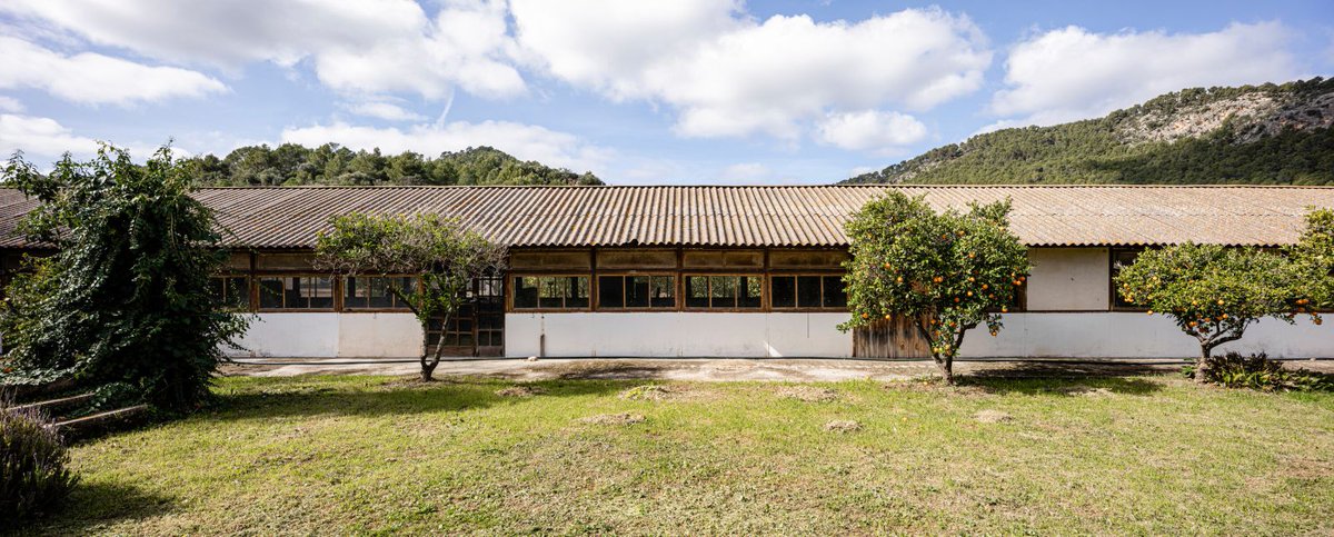 aasarchitecture's tweet image. Sa   Taronja by BEEF ARCHITEKTI
#arcitecture   #house @beefarchitekti tinyurl.com/4pwrfr6u