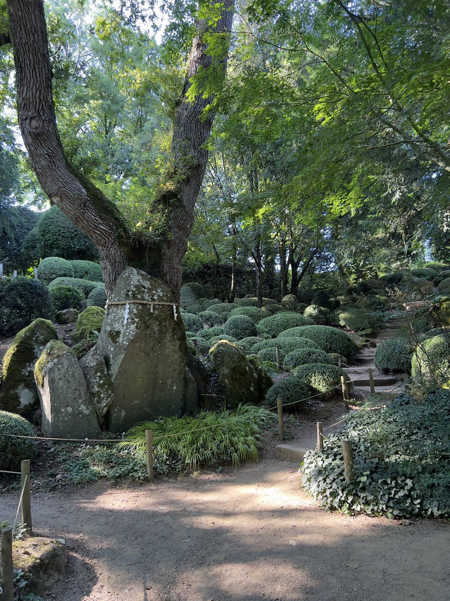 Parc Oriental tweet media
