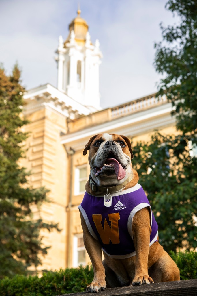 Come see for yourself why WIU is the right choice! Our Fall 2024 campus visit calendar and Discover Western dates are now open. We want you to see what life as a Leatherneck is like. Sign up today at wiu.edu/visit     #wiu #wiuadmissions