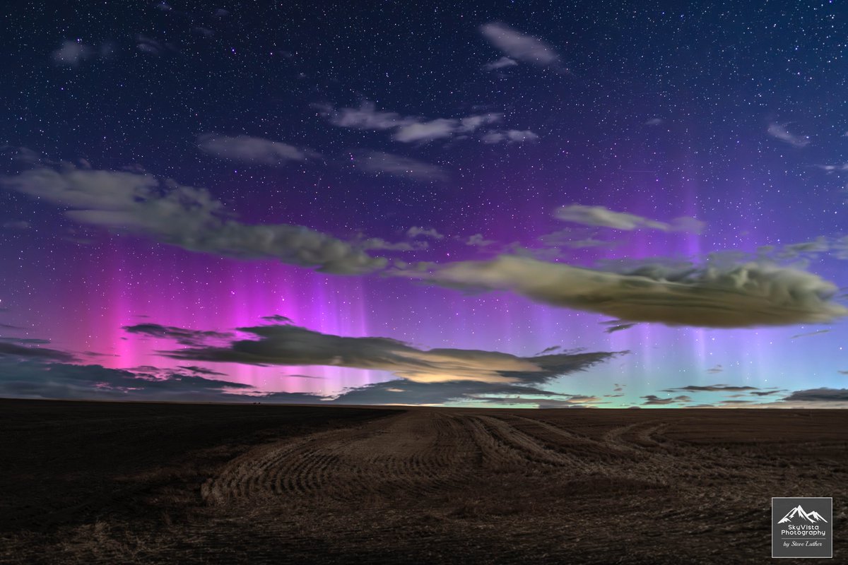 Steve Luther Adventure & Aurora Photography tweet media