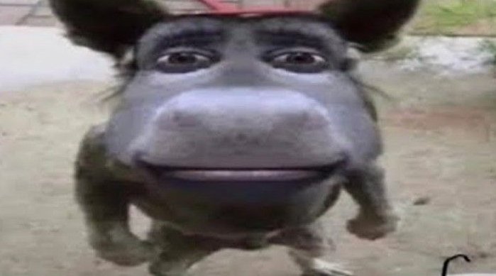 CazeTVOficial's tweet image. #EsportesDaSorte