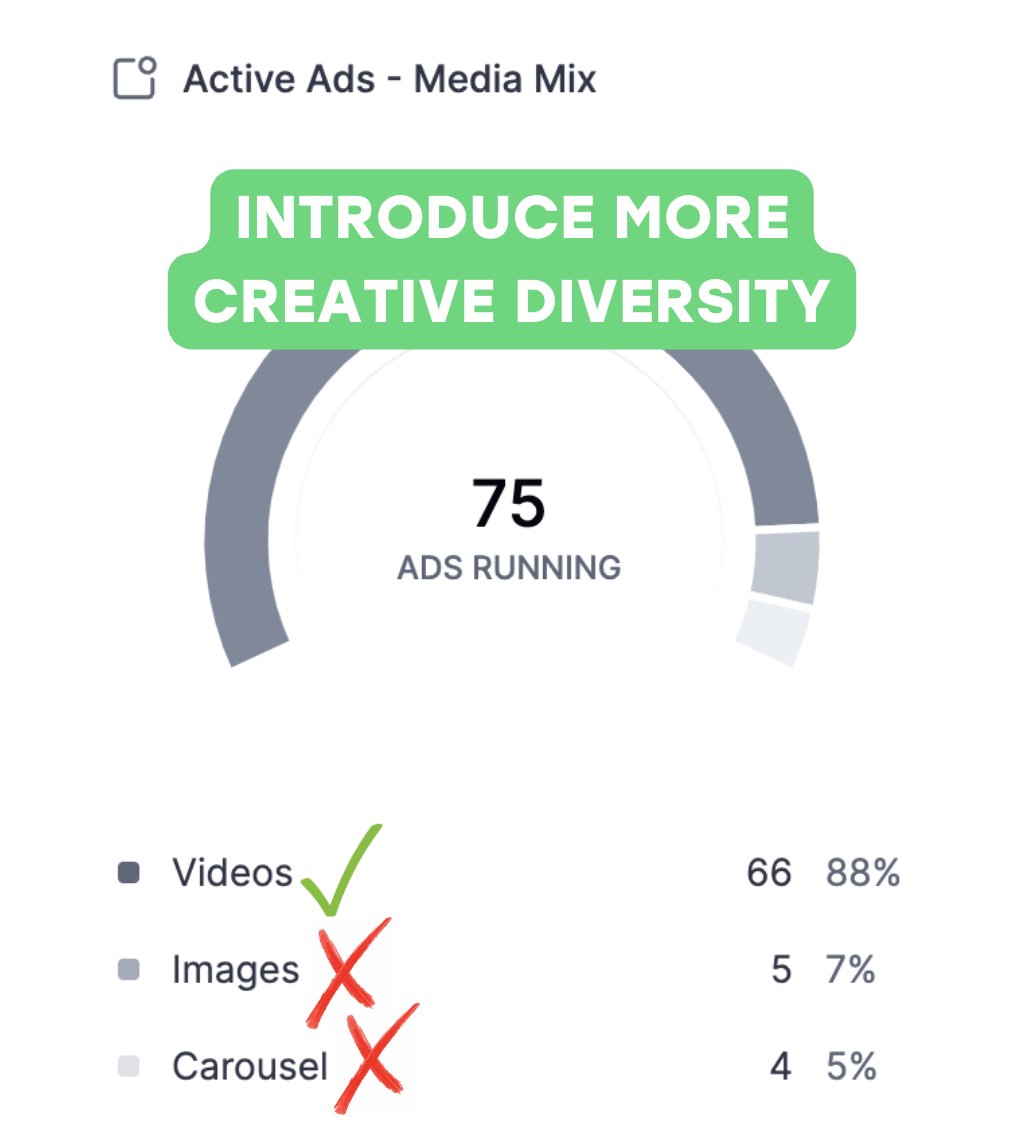 Pascal Sohler | Ad Creatives For DTC Brands tweet media