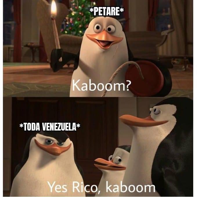 kokoshot411's tweet image. 