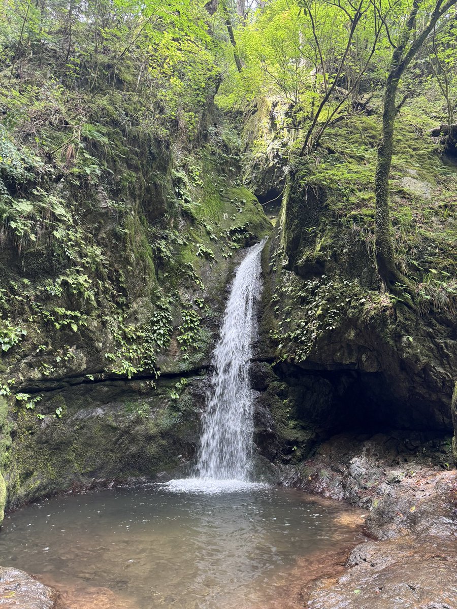 e_kahuna's tweet photo. ロックガーデン

#三岳山
#ロックガーデン https://t.co/kcMgeFYwWJ