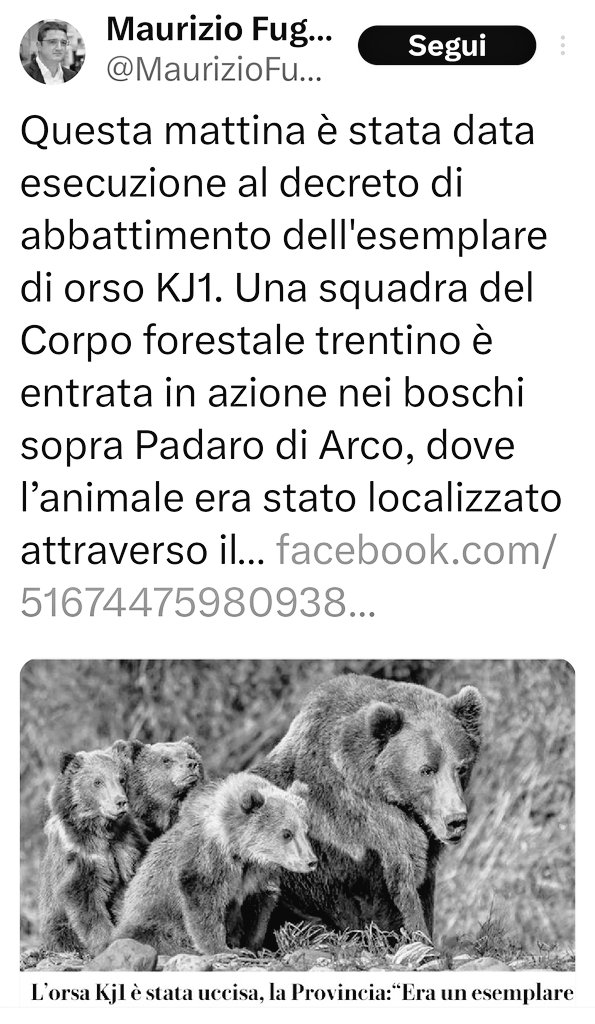 [al sacrificio da compiere l'officiante si rivolge con parole di delicato lirismo, promettendogli che non gli sarà fatto male e che percorrerà beato la via degli dèi, così come i cacciatori siberiani si rivolgevano con dolcezza e devozione all'orso che stavano per uccidere.]
