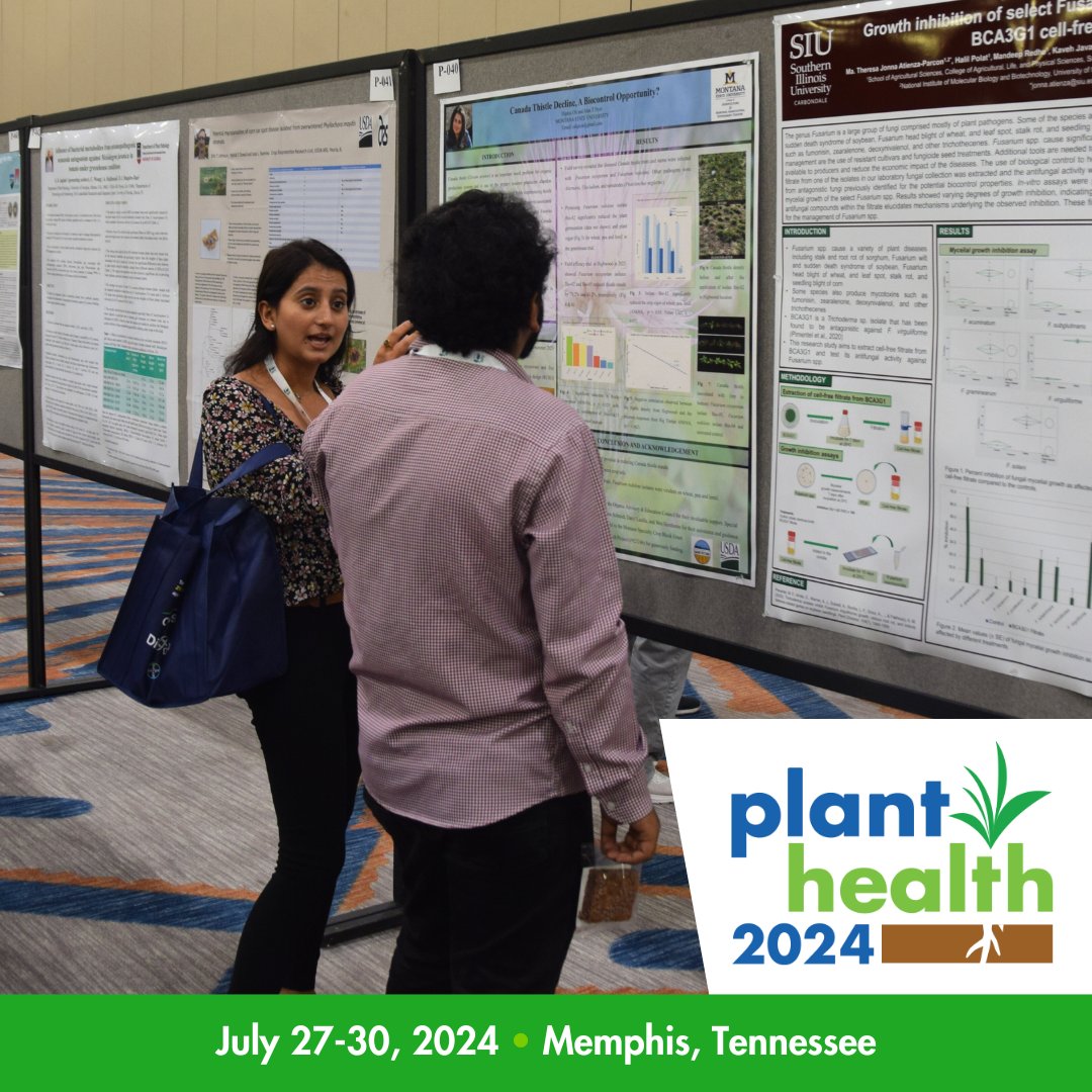plantdisease's tweet image. It's the last day to explore groundbreaking research at Plant Health 2024! Poster viewing is open today until 5:30 p.m. Meet the authors and discuss their work from 4:00 to 5:30 p.m.

View schedule: bit.ly/4dlF2ou

#PlantHealth2024 #PosterSession #Research #Innovation