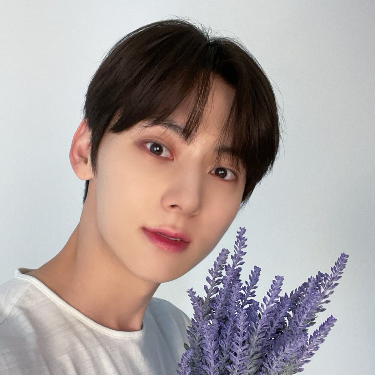 optimusthgml's tweet photo. 너무 이쁘잖아💜💜 https://t.co/PLaYsflm0M