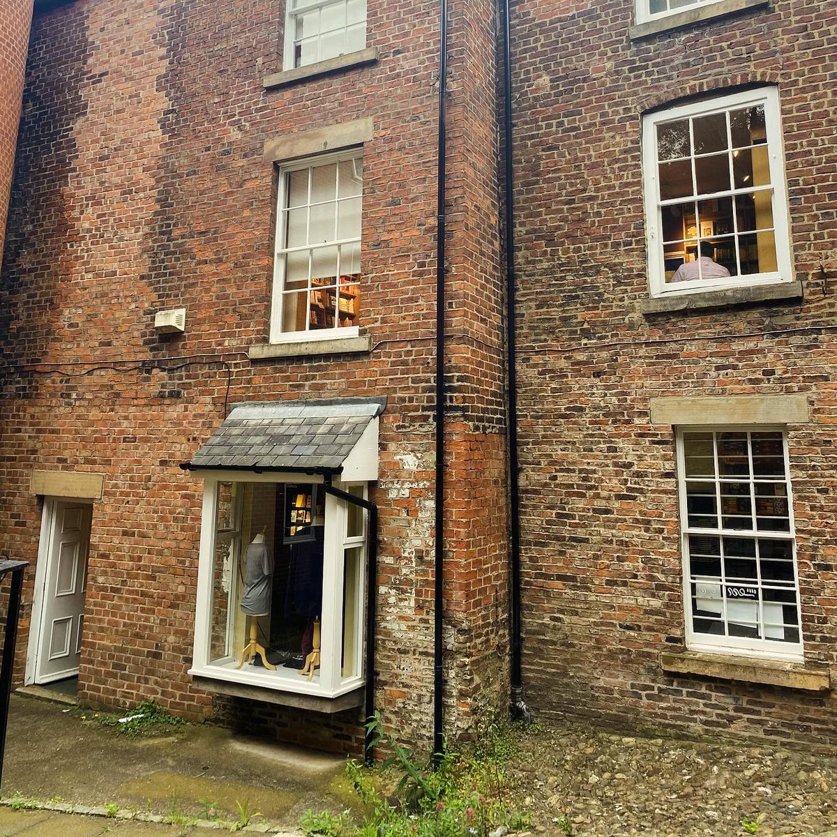 WstoneDurhamUni's tweet photo. waterstonesdurhamuni introducing our new neighbours! we've spotted at least three rather splendid kittens living out the back of our shop. they seem very friendly and quite well read #waterstonesdurhamuni #waterstonesdurham #durhamsaddlerstreet #durhamstudents https://t.co/F5KjofGnU9