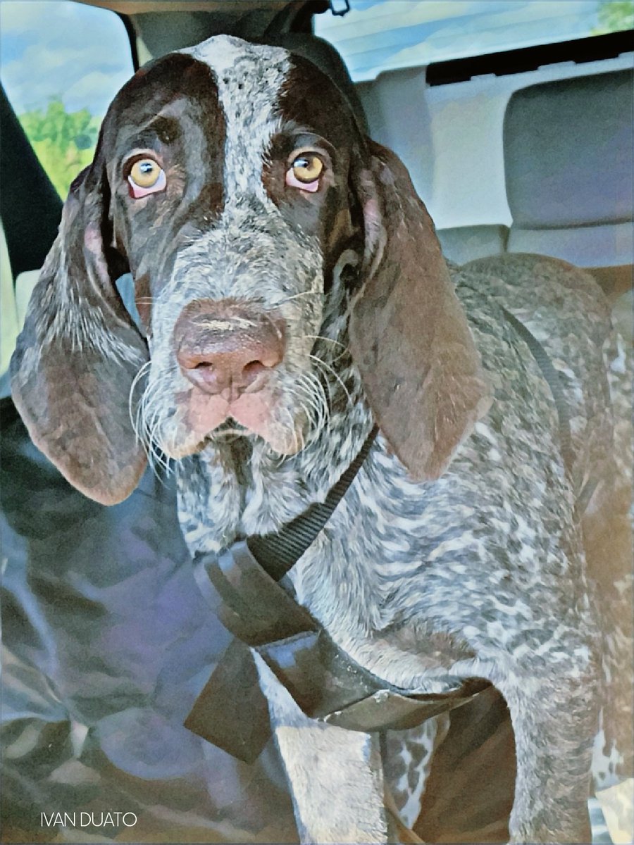 Ivan Duato (@duatoivan_) on Twitter photo 