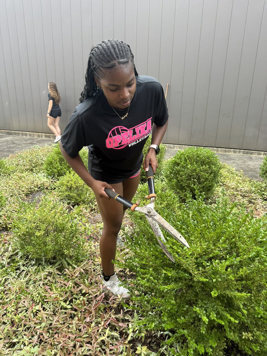 OpelikaVB tweet media