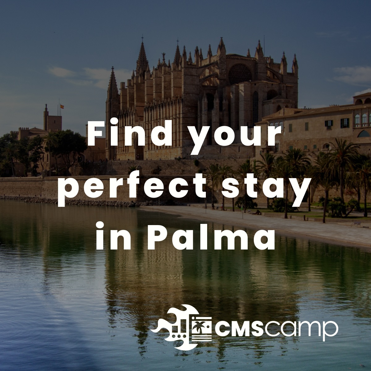 CMS Camp Mallorca tweet media