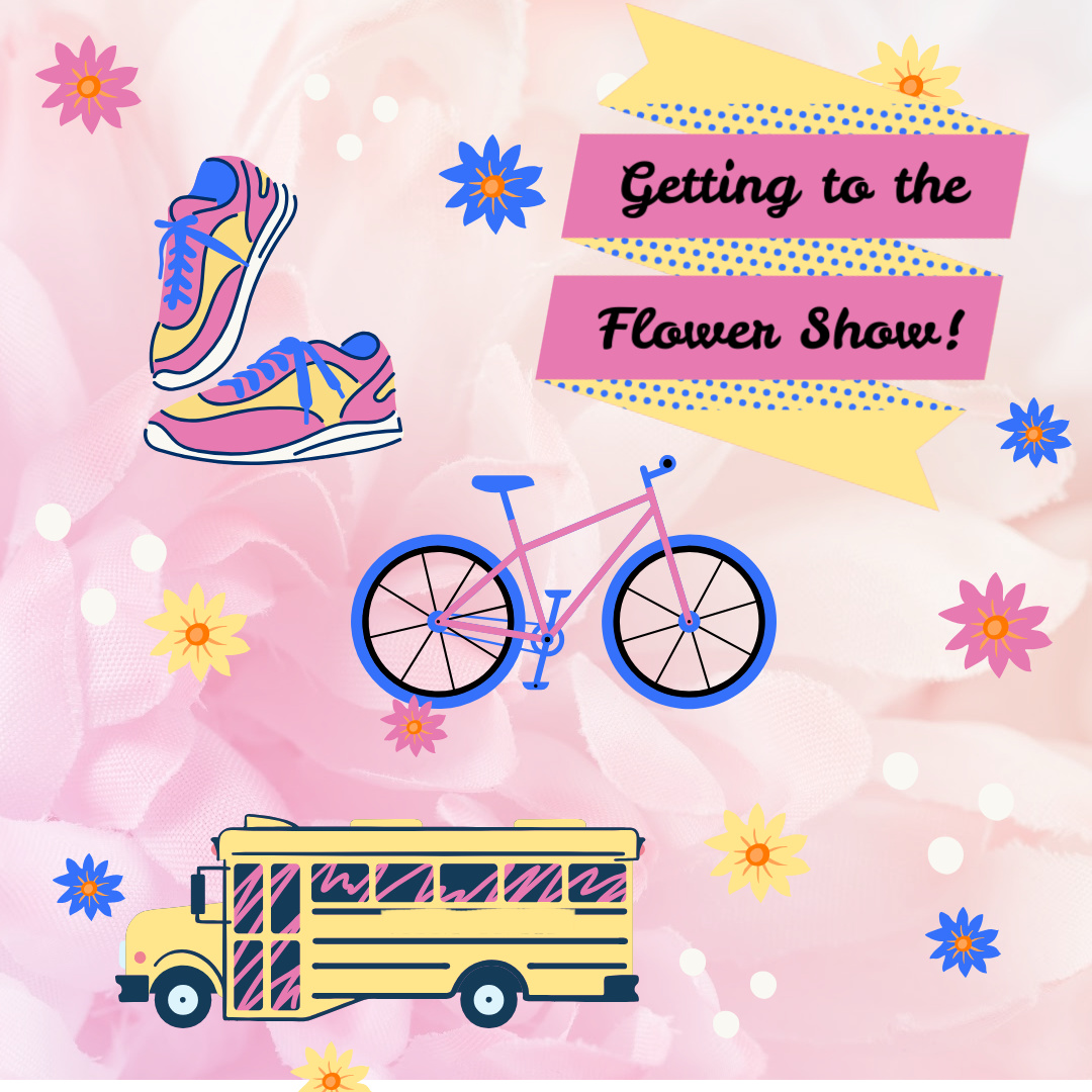This weekend the Knowsley Flower Show returns! Here's some tips on getting there:

🚗 -  Car parking on site is £5 for the day (cash only)

🚲👟 - Cyclists and pedestrians go free!

🚌 – Free shuttle buses will run all day, view the full timetable here: orlo.uk/2GFJO