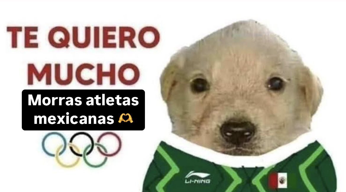gatodubi's tweet photo. las medallas que tiene México hasta el momento son todas provenientes de triunfos femeninos, las quiero mucho team femenil de tiro con arco y prisca awiti en judo 😭 https://t.co/3ByFcrwRiQ
