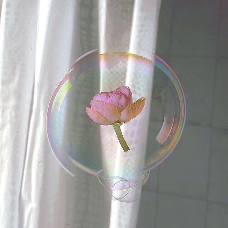 Стать героем было моей мечтой. Именно поэтому я поступила в Академию UA, чтобы стать героем, помогать людям и в частности своим родителям, ведь для них мы в первую очередь являемся героями. Приятно познакомиться, я герой Уравити