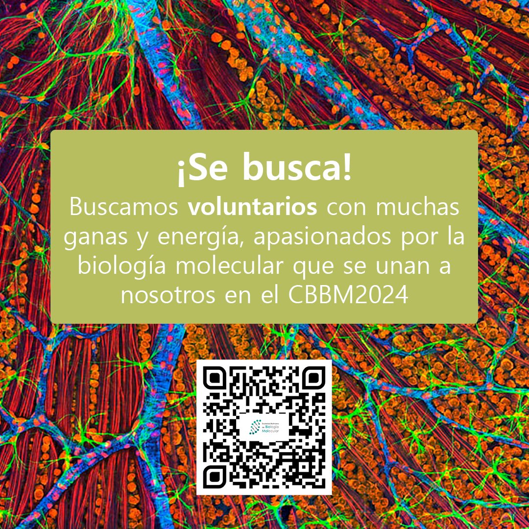 ¡La SBBM está en busca de voluntarios!
Si estás tan emocionad@ como nosotros por el CBBM2024 y te encanta la biología molecular únete al equipo de voluntarios. 🧬🔬✨  
Registrate en el formulario a través del QR de la imagen y lee el detalle.
#CBBM2024 #SoyBioMol #BioMol #SBBM