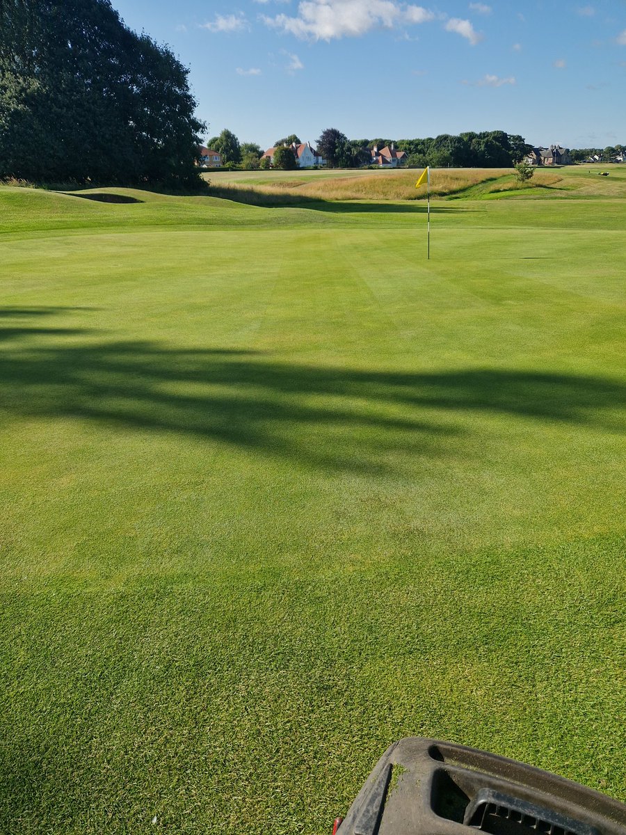 Verti cut and cut for greens and aprons this morning <a href="/LongniddryGolf/">Longniddry Golf Club</a> ⛳️