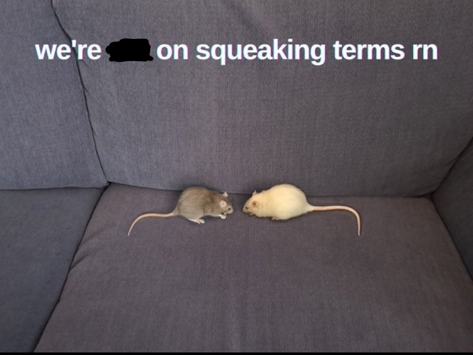 SoftCircuitry's tweet photo. @Bread_Burglar_ @nocontextmemes https://t.co/wXOXlXcQUm