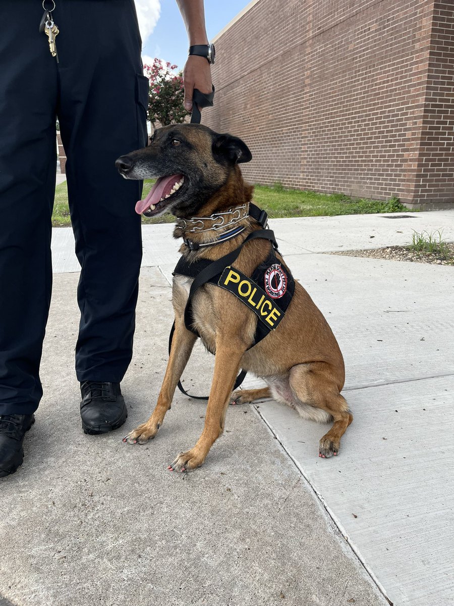 Dr. Ting-Ling Sha tweet media