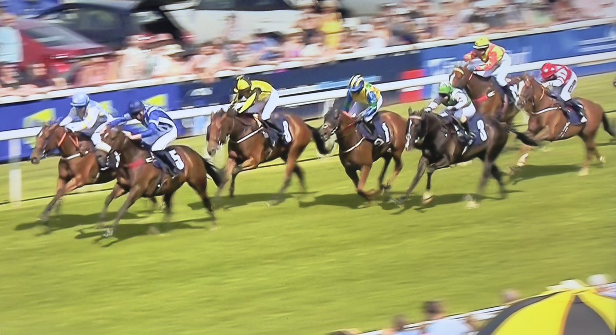 amajox's tweet photo. Congrats @amajox #AmyCollier WINS #LadyJaneBethell @Beverley_Races for 🔥@GemmaTutty #LoveYours #13ran Perfectly timed run #head What a finish! Well done Amy! 🌟👏👏👏#topride #topjock @matthew14681585 🥈#StephanieDorey 🥉 https://t.co/Rju7UrNk4J