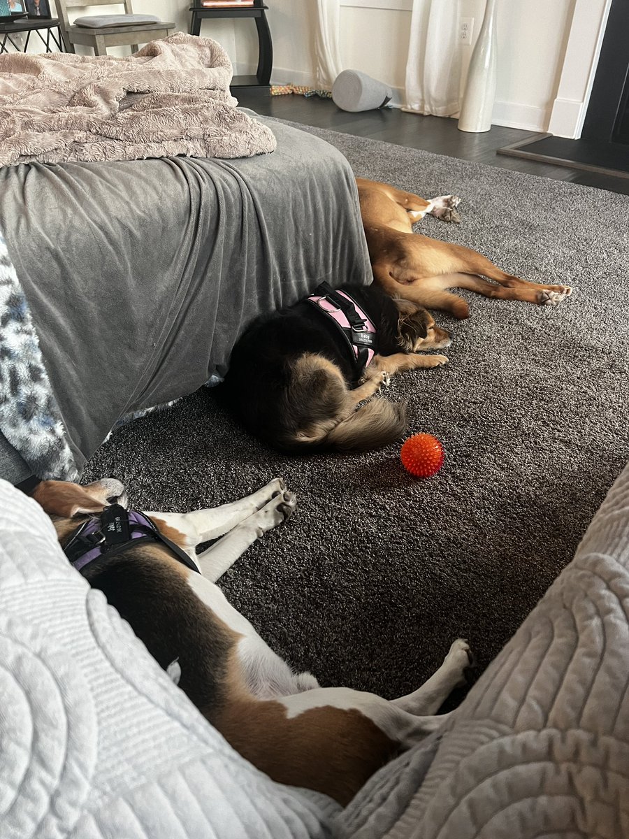 Carolyn Leary Bobb tweet media