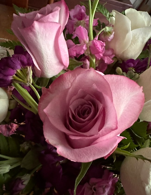 Victoria Brownworth tweet media