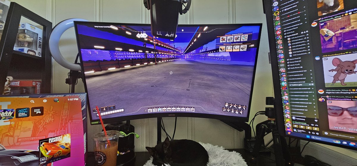 New duo gaming partner! 
#kitten