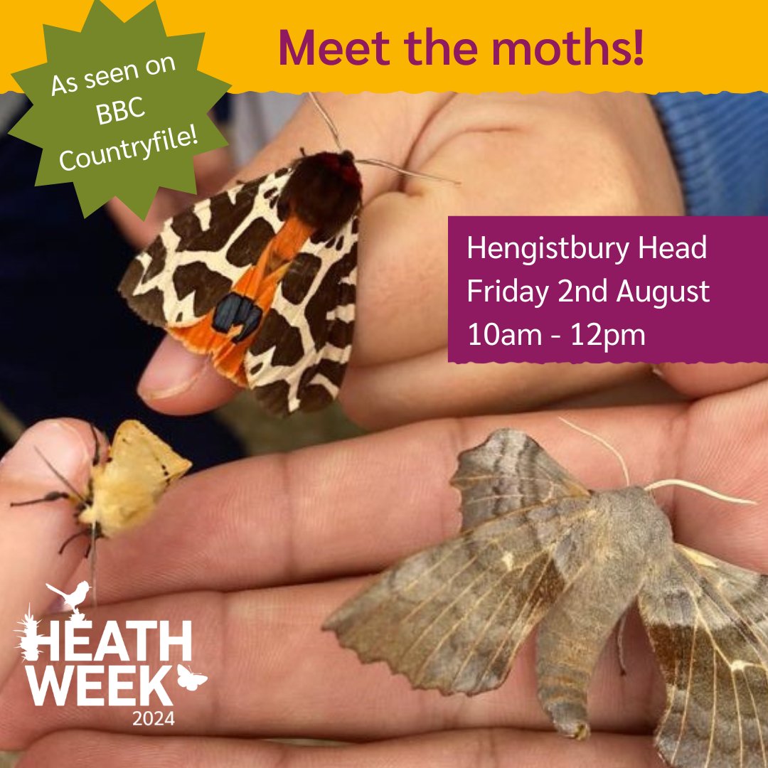 Dorset Heaths Partnership tweet media