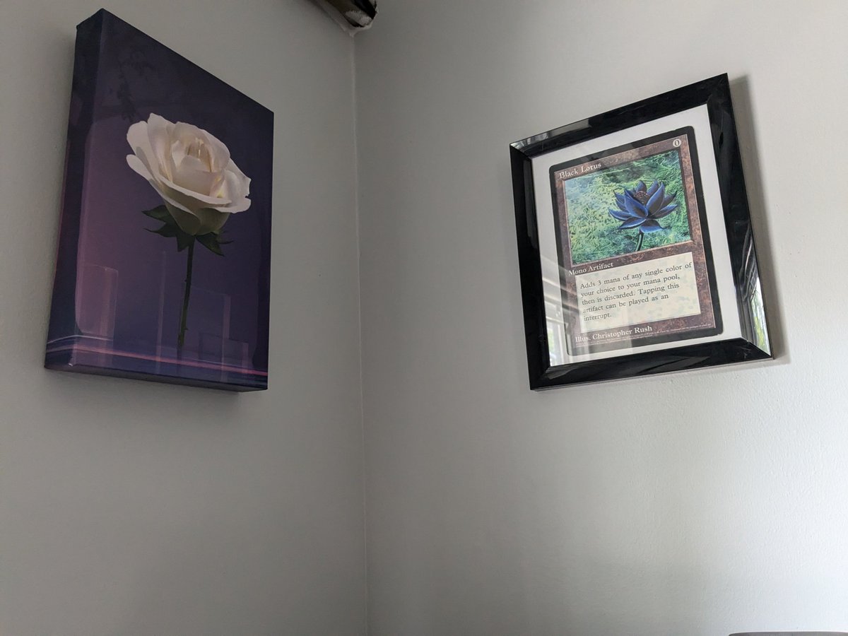 oxKeeper's tweet photo. @notsofast Maybe we just need more flowers in our life? https://t.co/v7YBCVAwMU