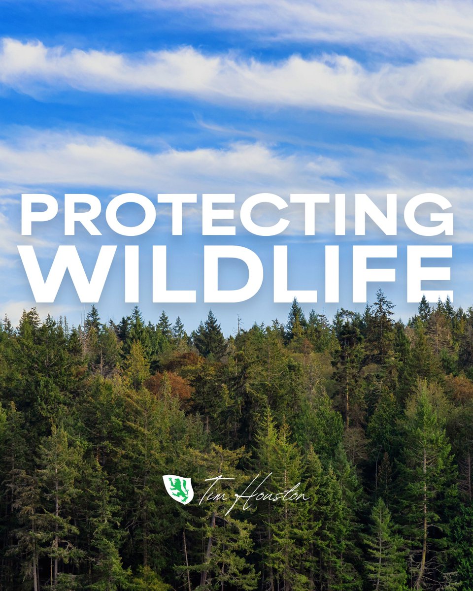 Tim Houston tweet media