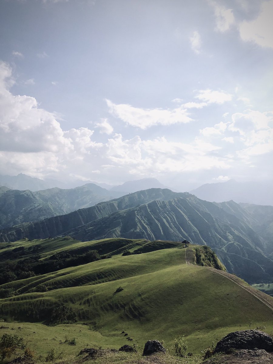 call me K A L ! tweet media