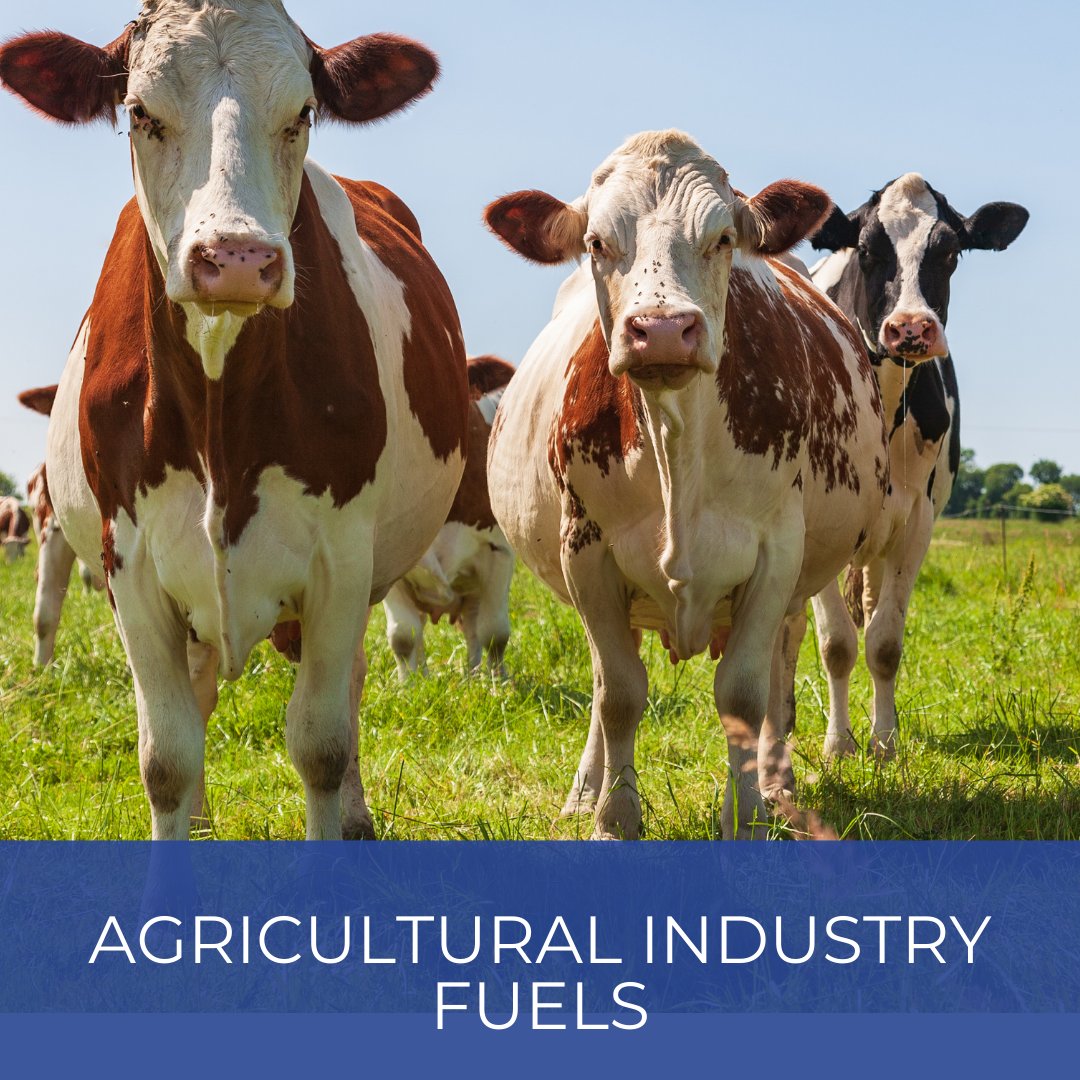 Farmers are working around the clock and so are we. Need fuel in a hurry? Use our out of hours answerphone, it's monitored 24/7.

par-petroleum.co.uk/fuel/agricultu…

#agriculturalfuel #fuelsupplier #parpetroleum #farming #agriculture #farmingsupplier #fuel #fuellubricants