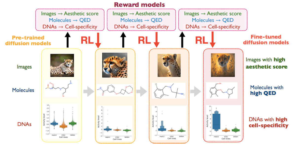 CbirtDirector's tweet image. From RNA to Proteins! 🧬
Scientists enhance #DiffusionModels with #ReinforcementLearning algorithms to meet specific biological goals, revolutionizing how we solve complex biological problems.

Discover More: cbirt.net/optimizing-dif…

#Bioinformatics #Docking #ML #AI #sciencenews