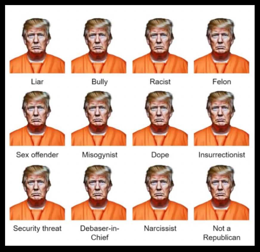 kangaroos991's tweet image. From YOUR observations, how many of these descriptions (0-12) are justified?

(Feel free to add your own, eg weird?)

#NeverForgetJ6 #VoteBlueDownBallot