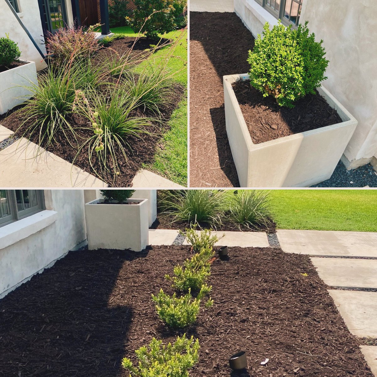 EcoMow1's tweet photo. Nice little refresh here completed by the landscape team. Beds cleaned out, weed barrier from @EwingOutdoor installed, drip lines reset, and fresh premium brown mulch from @LivingEarthHQ applied.
Turned out great! 👊🏻
#ecomow #landscaping #landscapeirrigation #landscapemakeover https://t.co/OarbBHIJux
