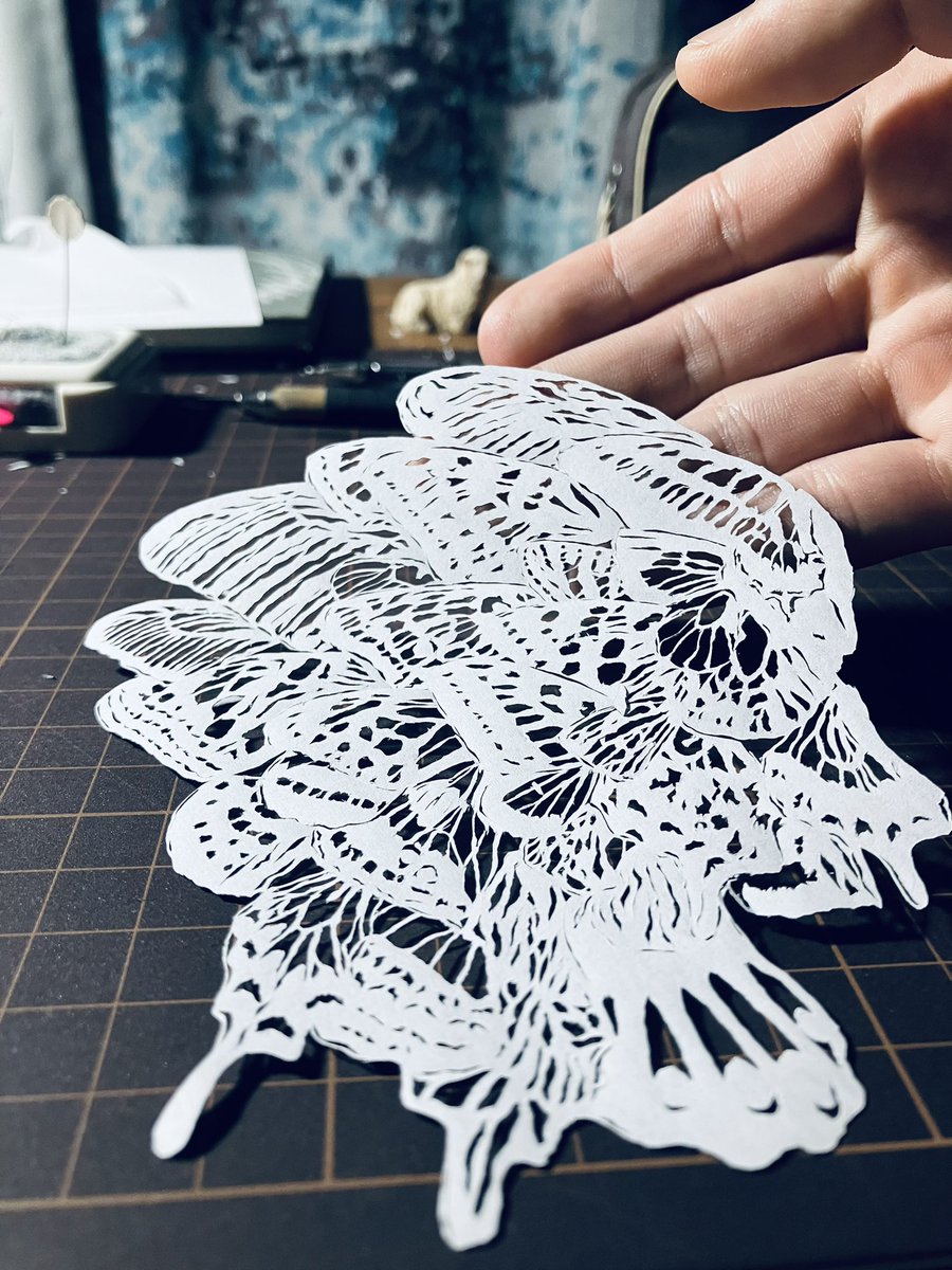 sheepman_woody's tweet image. #art #切り絵 #papercut 

『Show must go on』

蝶の羽が重なって、一つの大きな羽に見える様な仕上げのもの
手前にある文字は、Queenの曲の一節で、『私の魂は蝶のように彩られて』といった内容から引用しました

165×130㎜

ギャラリールミエール、企画展『羽と翼展』出展中作品
🪽🦋💡🐑