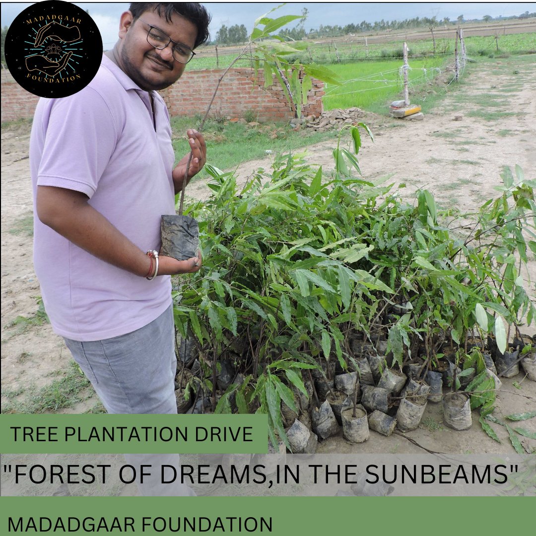 “To be without trees would, in the most literal way, to be without our roots.” To secure our life on this planet, we have to plant more trees. #plantmoretreeswithmadadgaar this Van Mahotsav by joining our tree plantation drive in Lucknow. #vanmahotsav2024 #planttrees #saveplanet